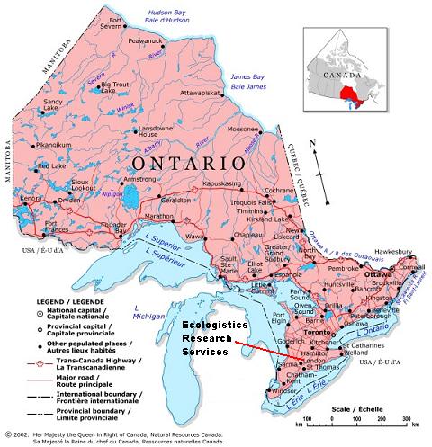 London Ontario carte